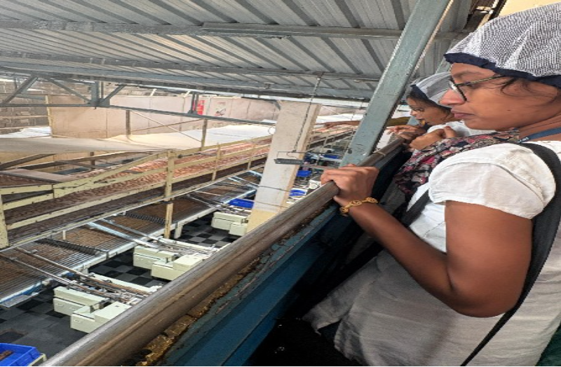 Management Industry Visit